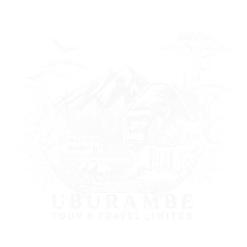 uburambetoursandtravel.com
